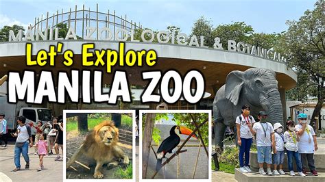 manila zoo open time